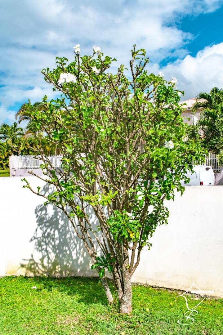 Villa Marissea Riviere-Salee Buitenkant foto